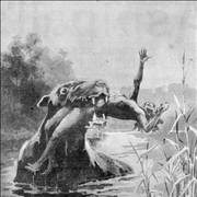 Picture Of Bunyip Creature Attack