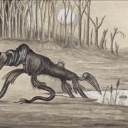 Picture Of Bunyip Legendary Creature