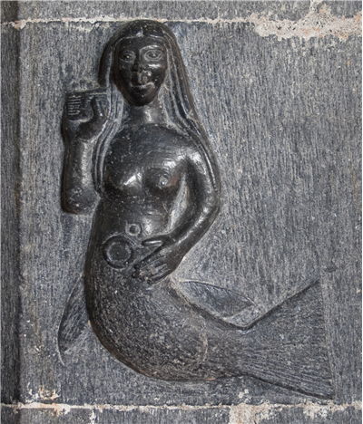 Picture Of Irish Mermaid Merrow